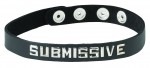 Sm Collar-submissive